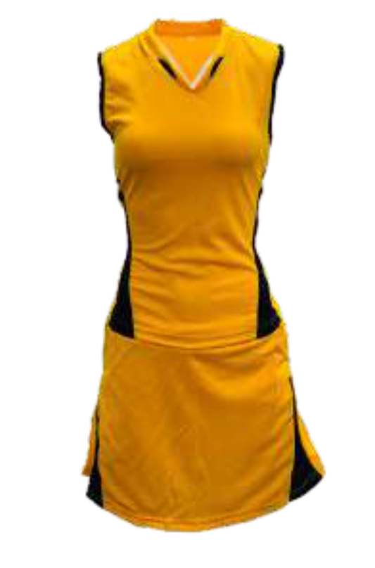 Netball Dragon Kit Set of 10