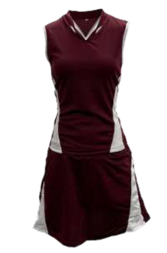 Netball Dragon Basic Combo Kit Set of 10