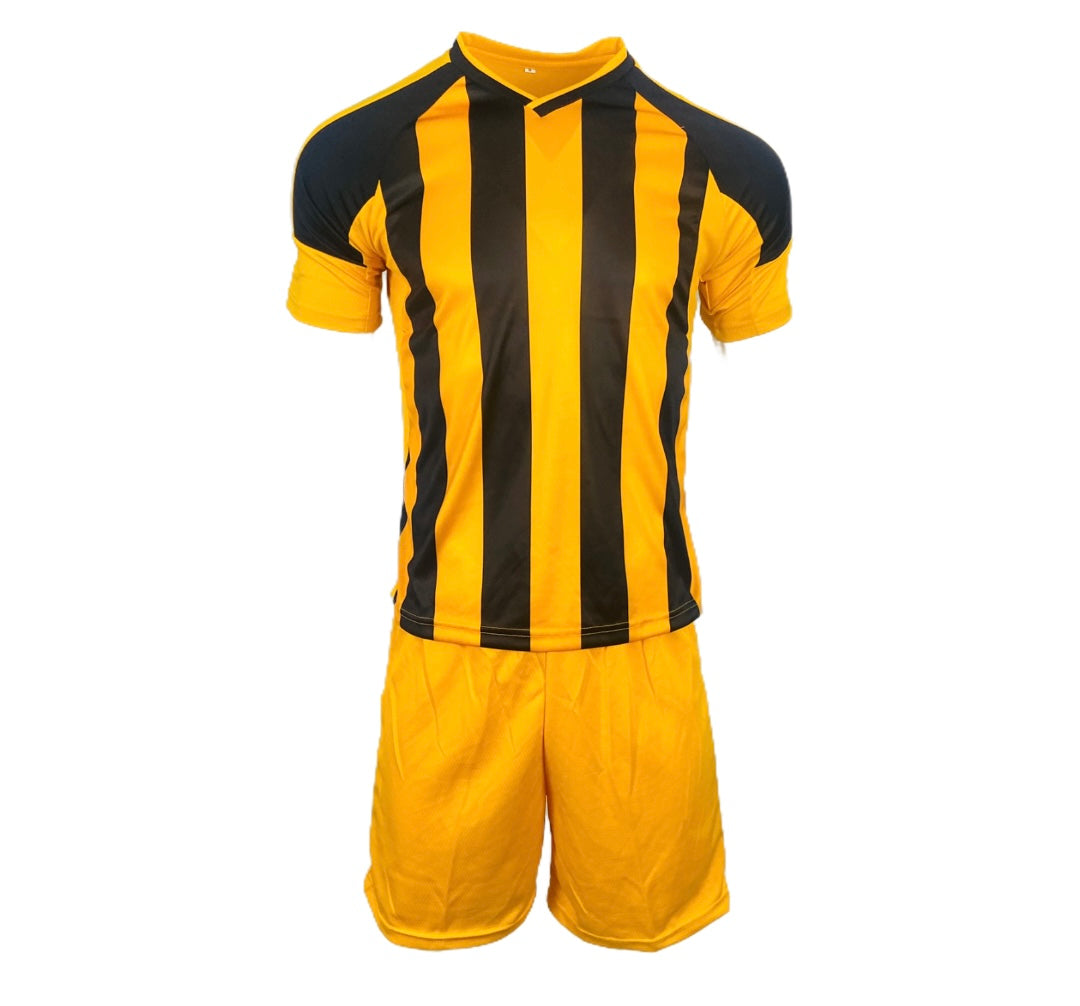 TTP Argentina Basic Combo Soccer Kit Set of 15