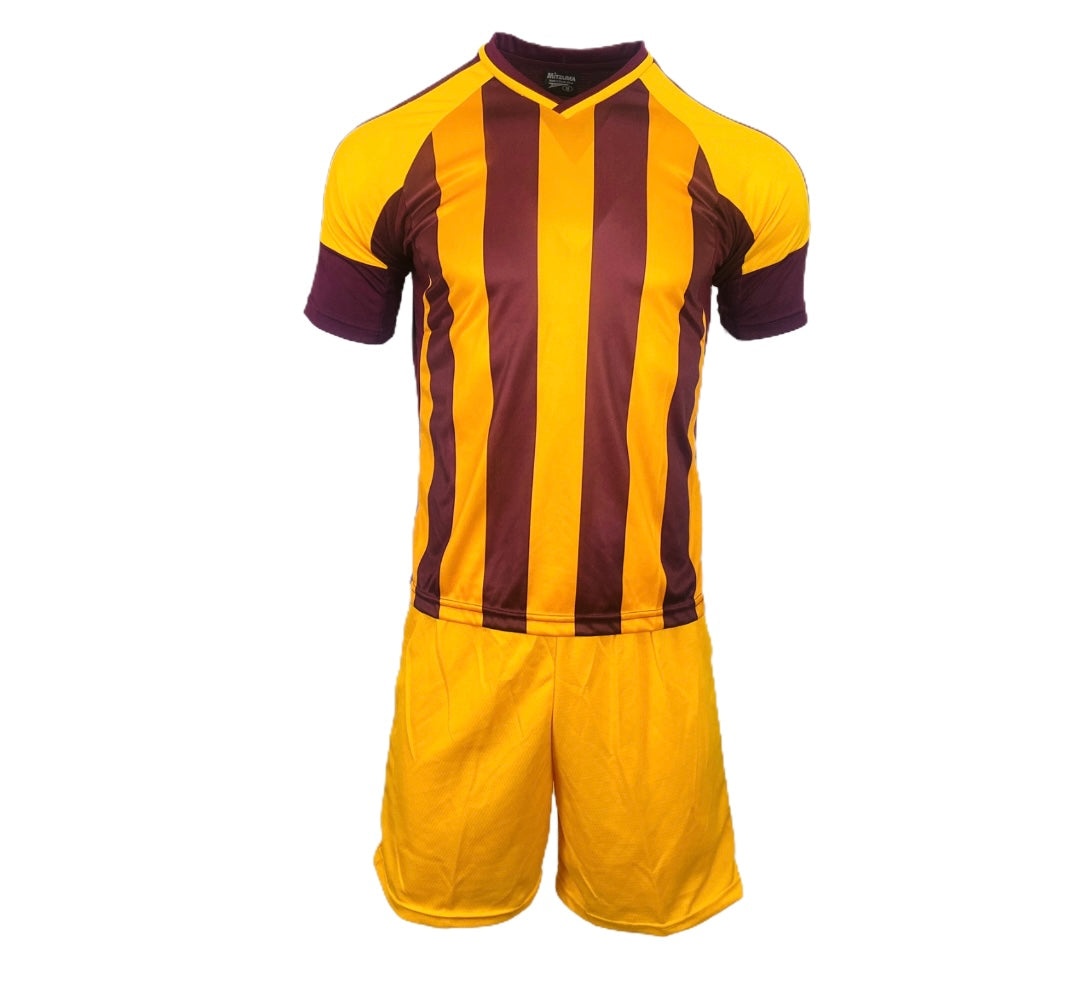 TTP Argentina Basic Combo Soccer Kit Set of 15