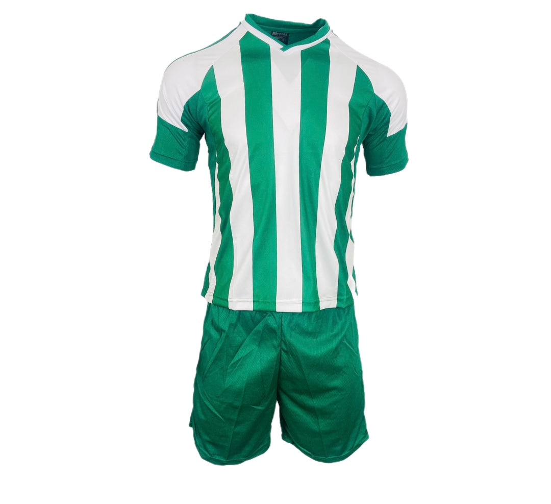 TTP Argentina Basic Combo Soccer Kit Set of 15