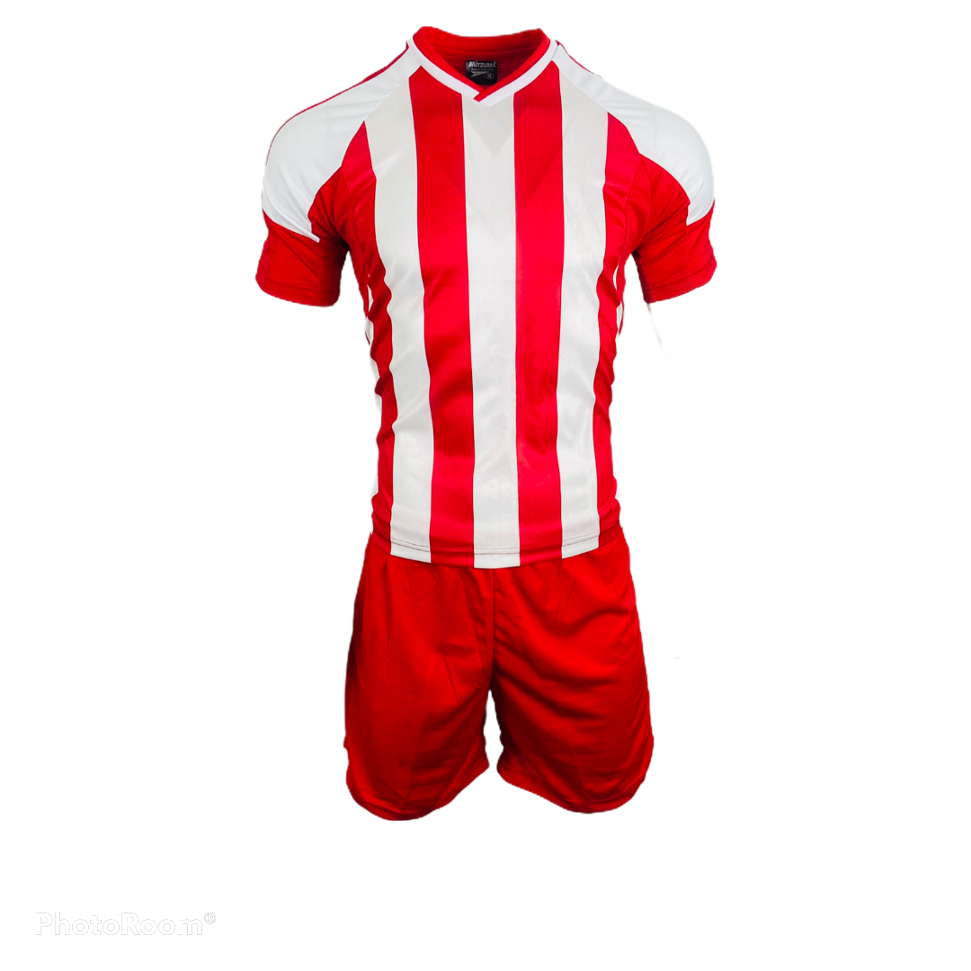 TTP Argentina Basic Combo Soccer Kit Set of 15