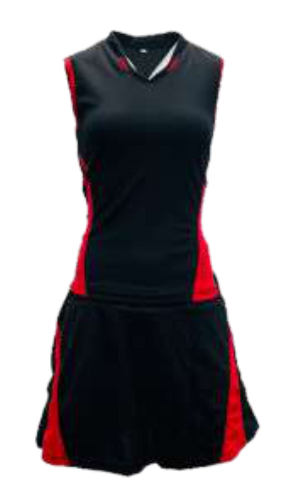 Netball Dragon Basic Combo Kit Set of 10 – TTP SPORT