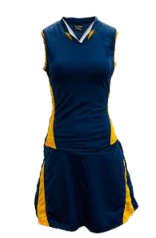 Netball Dragon Premium Combo  Kit Set of 10
