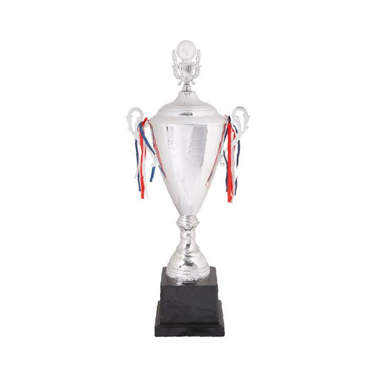 CHAMPIONSHIP SILVER