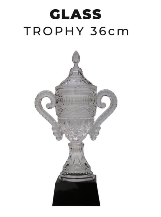 TR0280 Glass Trophy Cup 36cm