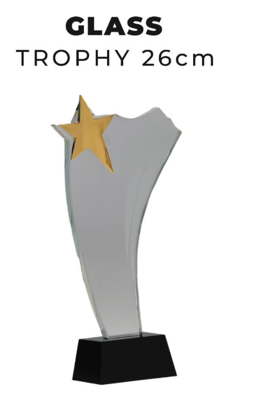 TR0278 Glass Trophy with Star 26cm