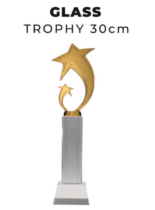 TR0276 Glass Trophy with Star 30cm