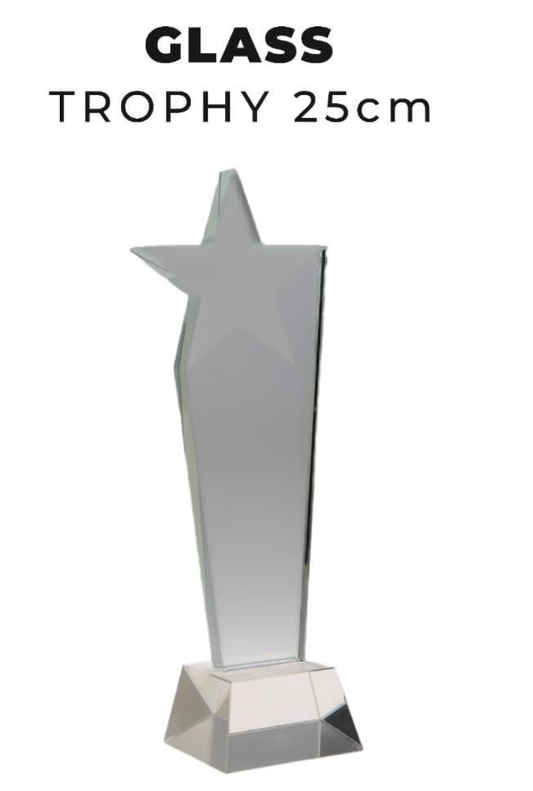 TR0275 Star Glass Trophy 25cm