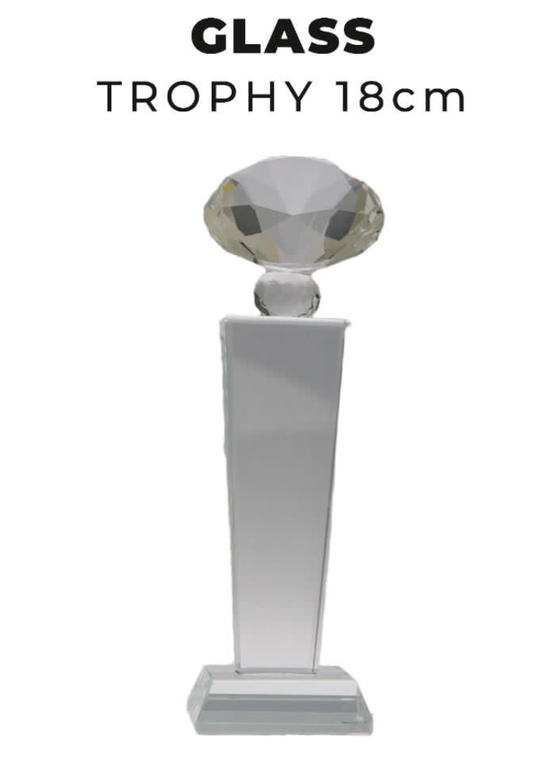 TR0273 Glass Trophy with Diamond 18cm