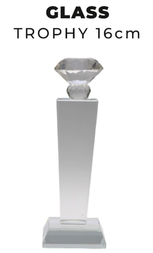 TR0272 Glass Trophy with Diamond 16cm