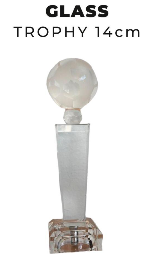 TR0271 Glass Trophy with Soccer ball  14cm
