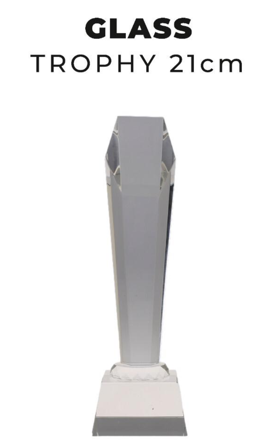 TR0266 Glass Trophy  21cm