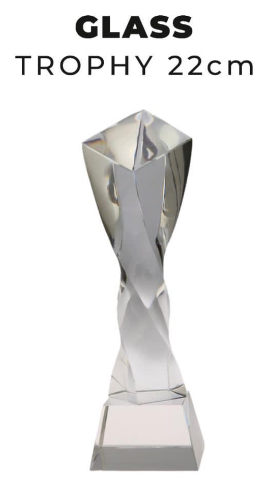 TR0267 Glass Trophy 22cm