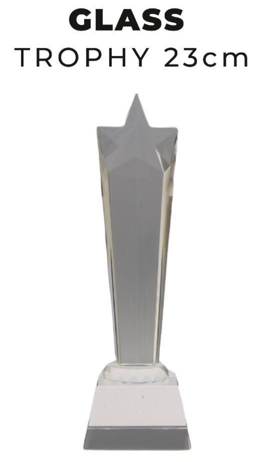 TR0263 Glass Trophy with Star 23cm