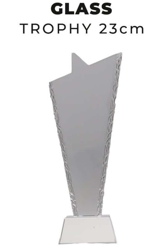TR0264 Star Glass Trophy 23cm