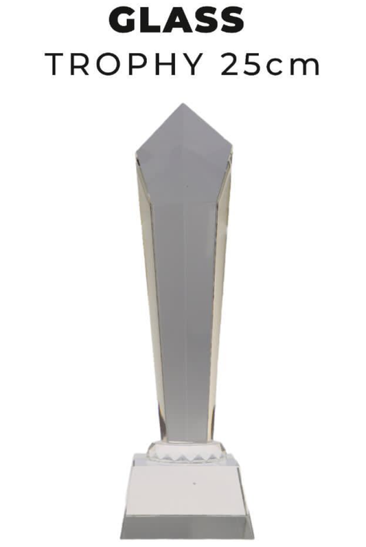 TR0262 Glass Trophy 25cm