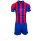 TTP Argentina Basic Combo Soccer Kit Set of 15