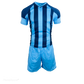 TTP Argentina Basic Combo Soccer Kit Set of 15
