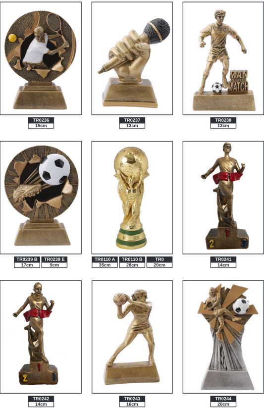Resin Trophy