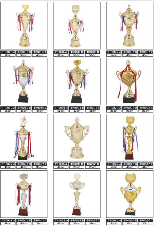 Metal Gold / Silver Cup