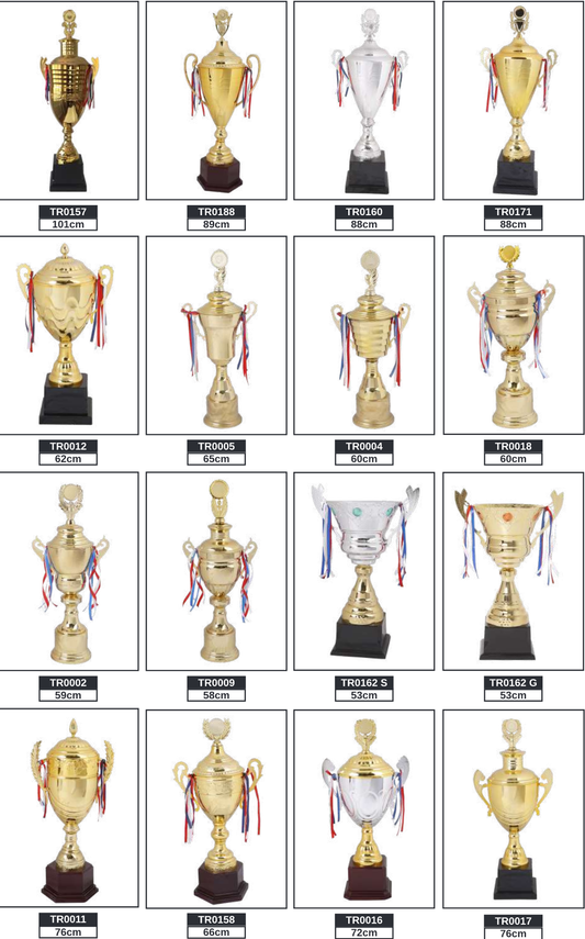 Metal Gold/Silver Cup