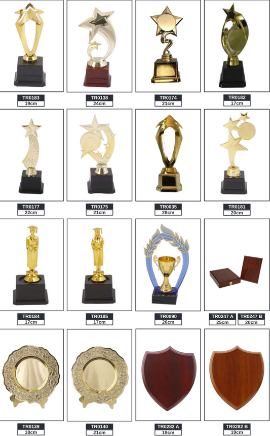 Small Trophy/ Shield/Plate  Trophy