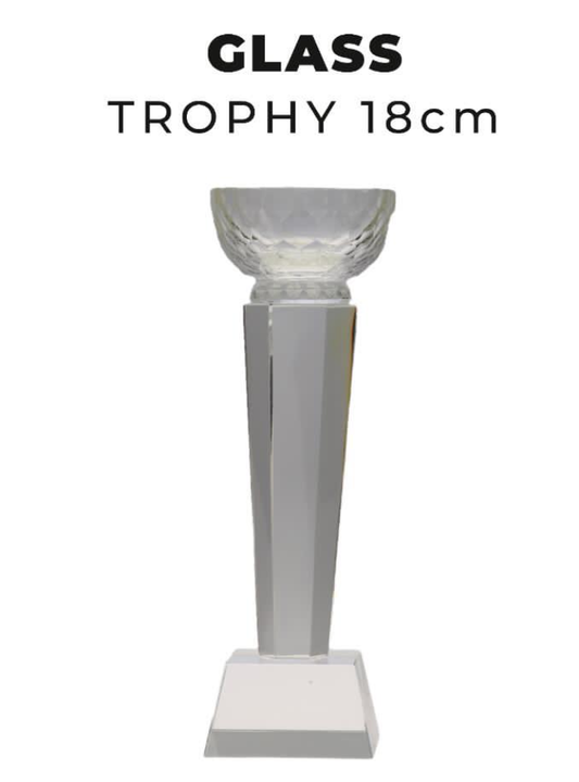 TR0277 Glass Trophy with Cup 18cm